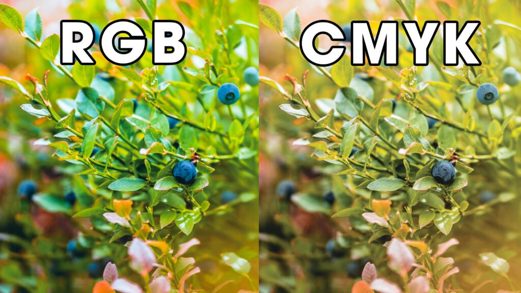 RGB & CMYK