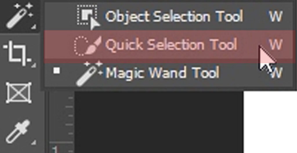 quick selection tool