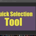 Quick Selection Tool