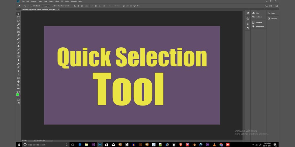 Quick Selection Tool