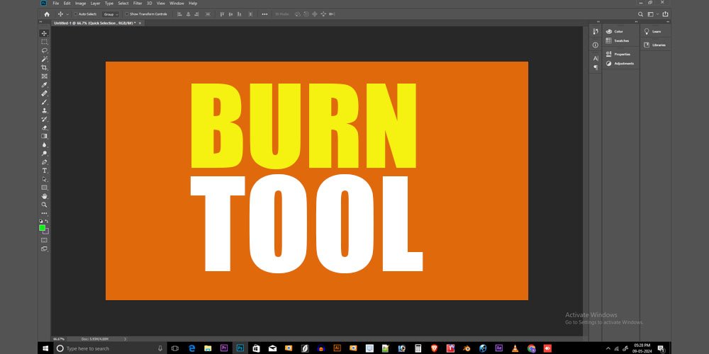 A Step-by-Step Guide for Beginners: How to Use Burn Tool in Adobe ...